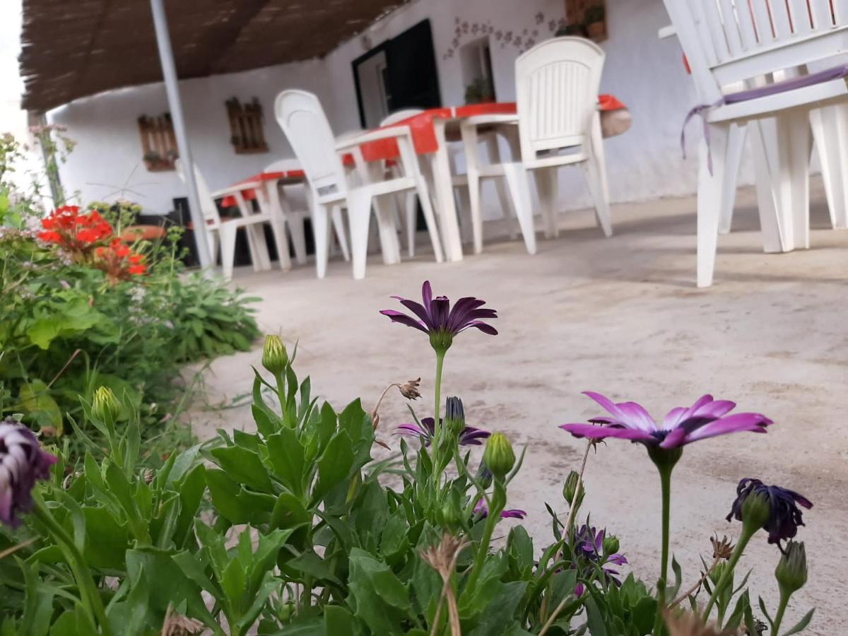 منزل الضيف فيريريس  في Es Barranco المظهر الخارجي الصورة